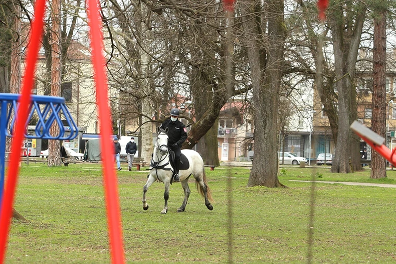Policajci na konjima