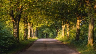 Czy gmina może odliczyć VAT od kosztów inwestycji drogowych?