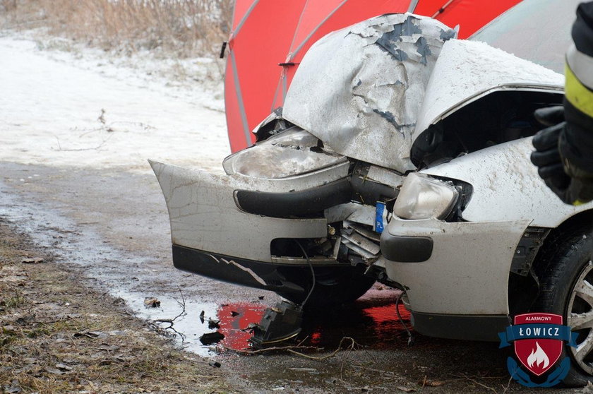 Samochód uderzył w drzewo. Wypadek pod Łowiczem