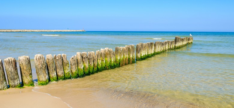 10 najpiękniejszych plaż w Polsce. Zobacz, gdzie jechać nad morze