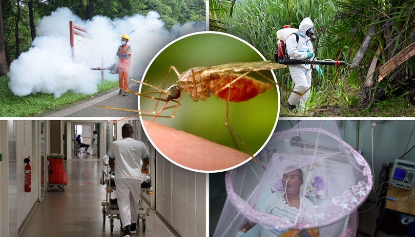 Čikungunja virus