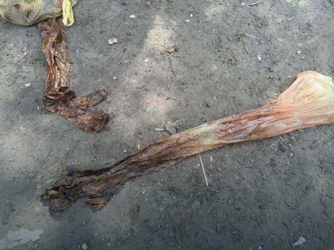 Krvave rukavice pronađene na licu mesta