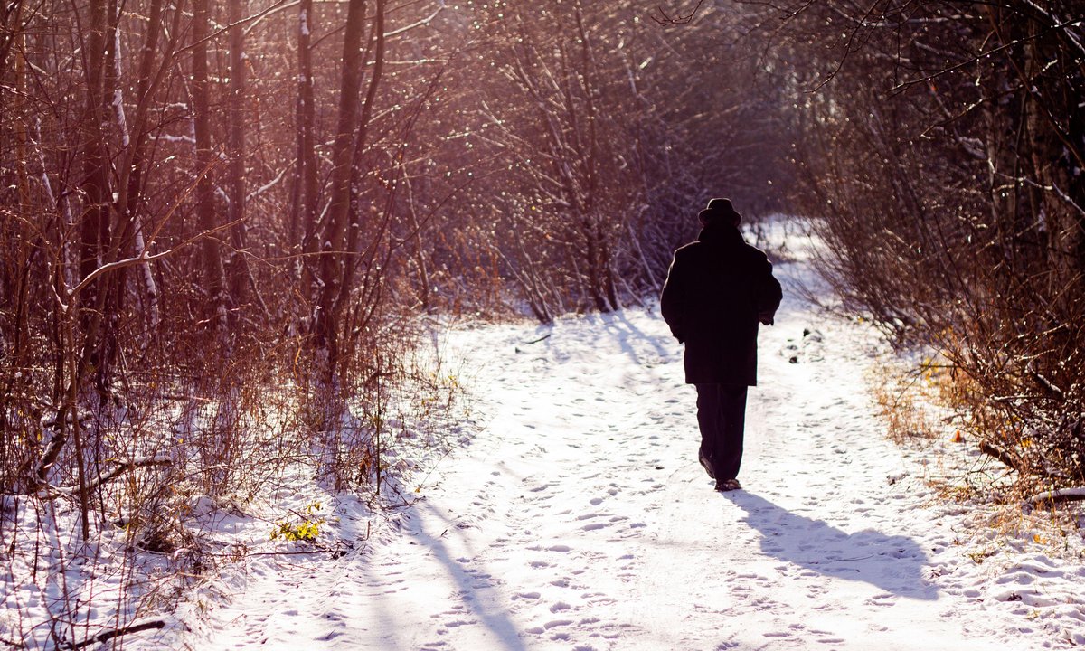Czy jest sens chodzi na grzyby w styczniu? Rozwiewamy wątpliwości