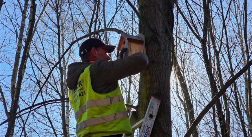 Czyszczenie budek dla ptaków
