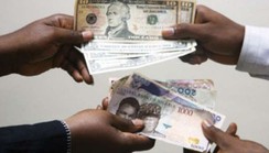 Naira appreciates by 1.79% by exchanging at ₦‎756.61 per dollar on Tuesday