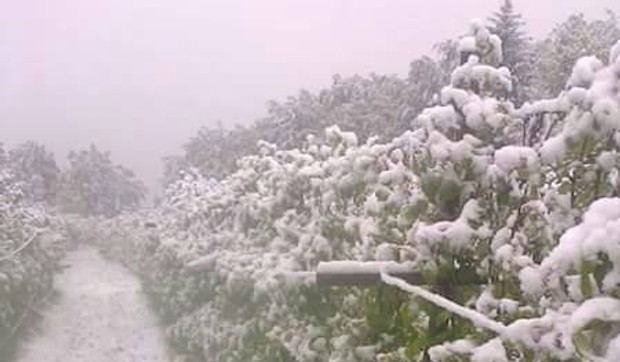 sneg ivanjica foto zoran ilic