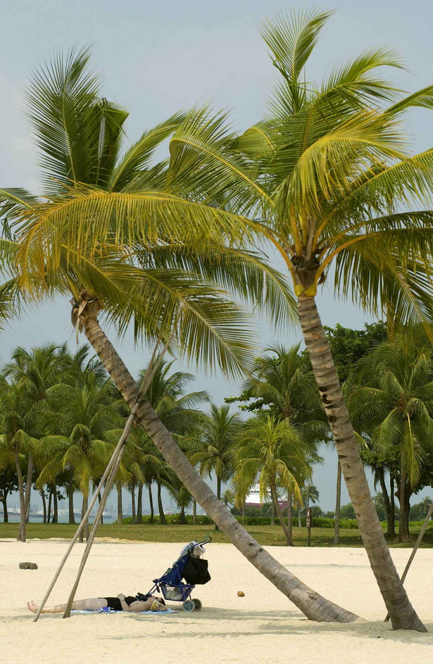 Za wycieczkę pod palmami wykupioną w zimę można zapłacić duzo mniej