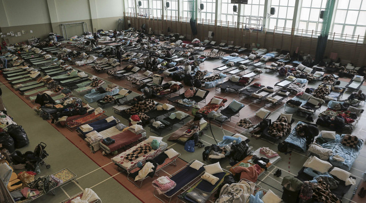 Sajátos módon köszönik meg a segítséget Lengyelországban az ukrán menekültek/ Fotó: MTI AP Visar Kryeziu