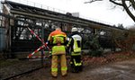 Tragiczny pożar w niemieckim zoo. Przyczyną powietrzny lampion