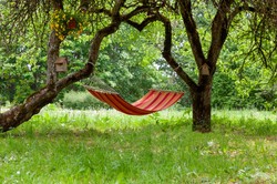 Jeszcze możesz skorzystać. Pracodawca musi udzielić pracownikom tych 2 dni wolnego. Jeśli nie, grozi mu grzywna. Dlaczego?