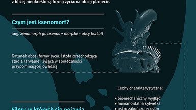 "Obcy": kim jest ksenomorf? [INFOGRAFIKA]