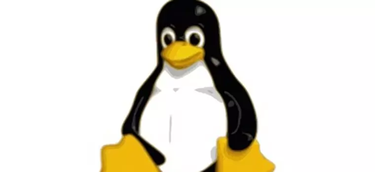 Valve: Linux jest lepszy do gier od Windows 8