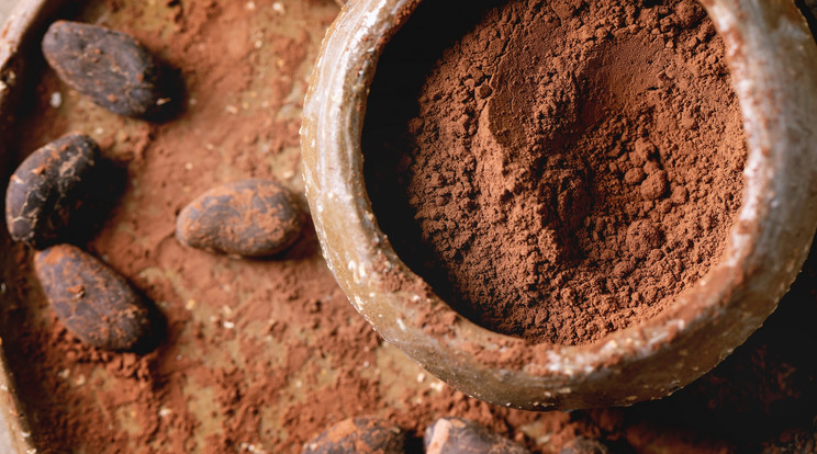 A kakaófa (Theobroma cacao) gyümölcse, a kakaóbab, flavonoidokat tartalmaz. Az élénkítőanyagok enyhíthetik a szklerózis multiplex tüneteit / Fotó: Getty Images