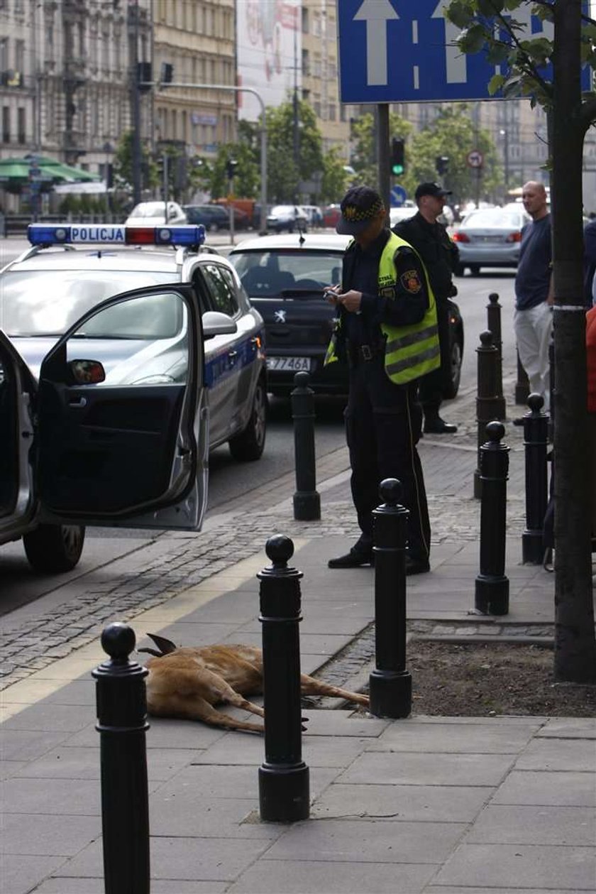 Szokujący wypadek w centrum Warszawy