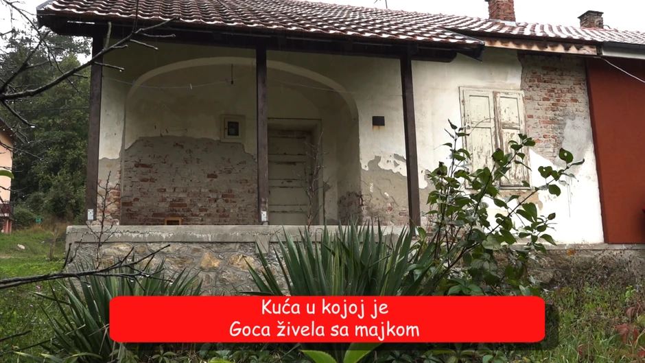 Goca Stojićević, emisija "Metar moga sela"