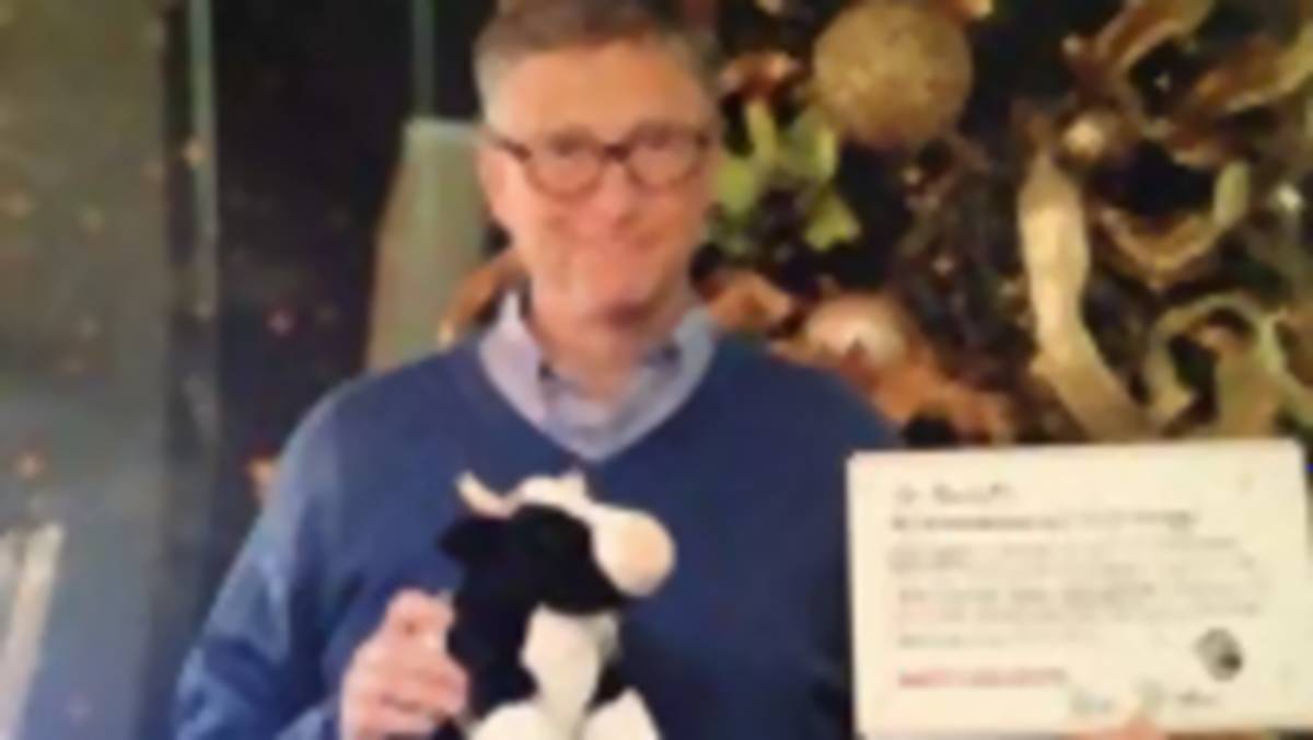 Chciała iPada, a dostała… pluszową krowę od Billa Gatesa