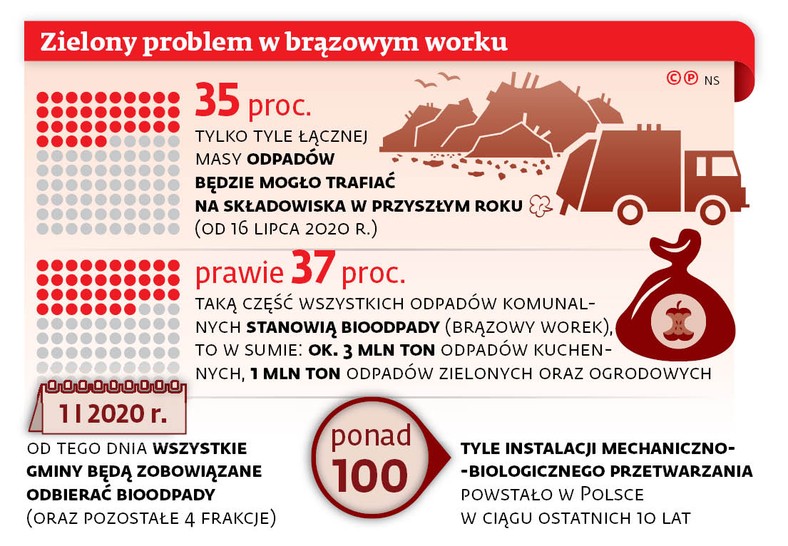 Zielony problem w brązowym worku