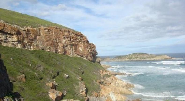 ___3793784___https:______static.pulse.com.gh___webservice___escenic___binary___3793784___2015___5___25___14___robberg-nature-reserve