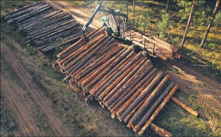 EUDR na nowo. Mniej biurokracji, ale czasu też mało