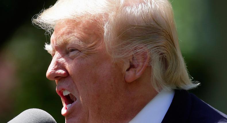 President Donald Trump in the Rose Garden of the White House.