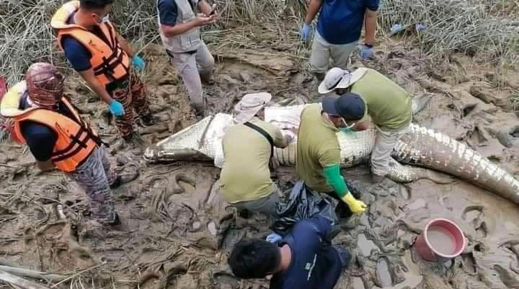 Megtalálták egy 14 éves fiú darabjait egy krokodilban / Fotó: Profimedia