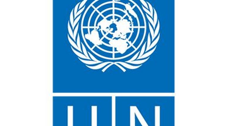 United Nations Development Programme (UNDP)