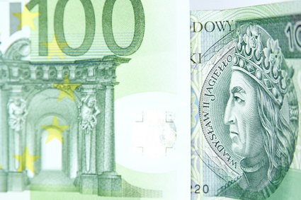 Euro jest najtańsze od wakacji. Polska waluta wciąż zyskuje
