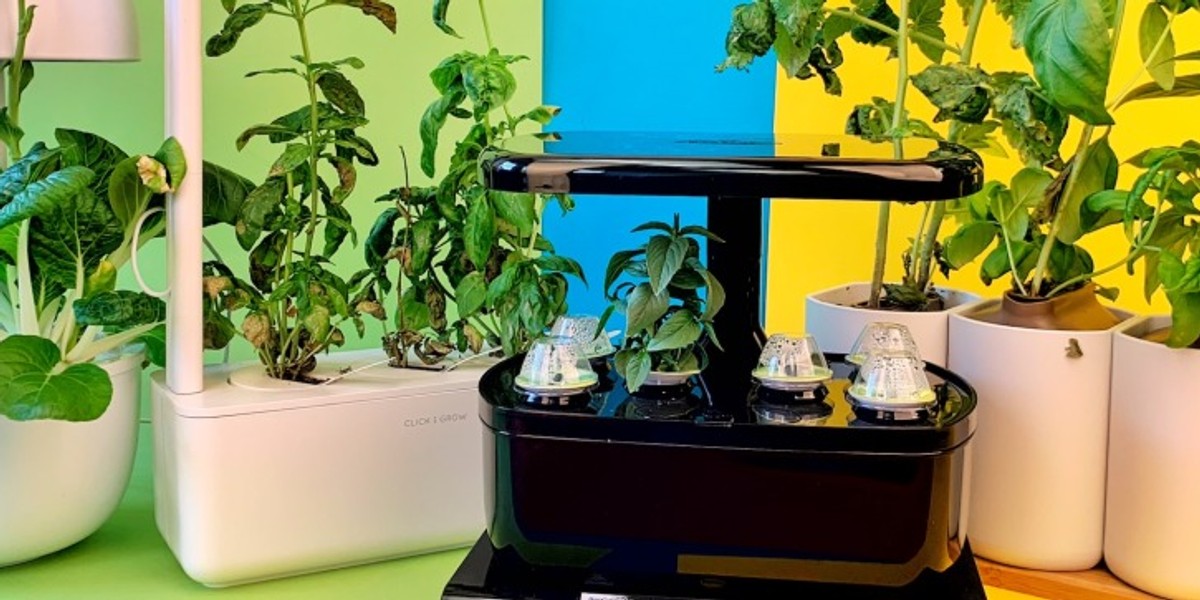 Vergleichstest: 7 smarte Indoor-Gärten ab 35 Euro | TechStage