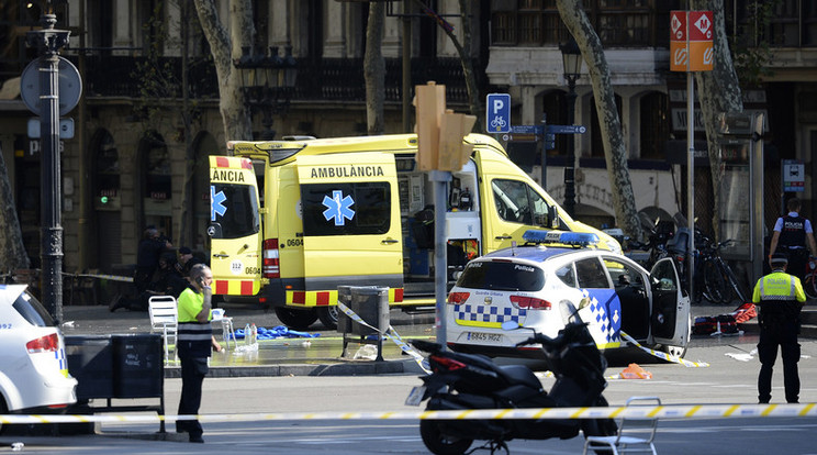 A barcelonai és a Cambrils-i terrortámadáshoz is közük volt /Fotó: AFP