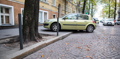 Będą słupki na Wildzie!