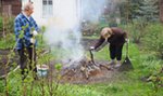 Działkowcu! Nie pal gałęzi, bo dostaniesz mandat!