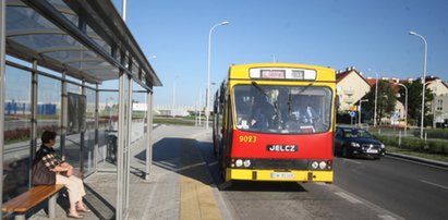 Autobus 403 dowiezie cię dalej