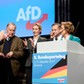 AfD party conference