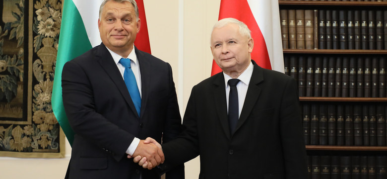 Wóycicki: po Putinie Orbán i Kaczyński  [KOMENTARZ]