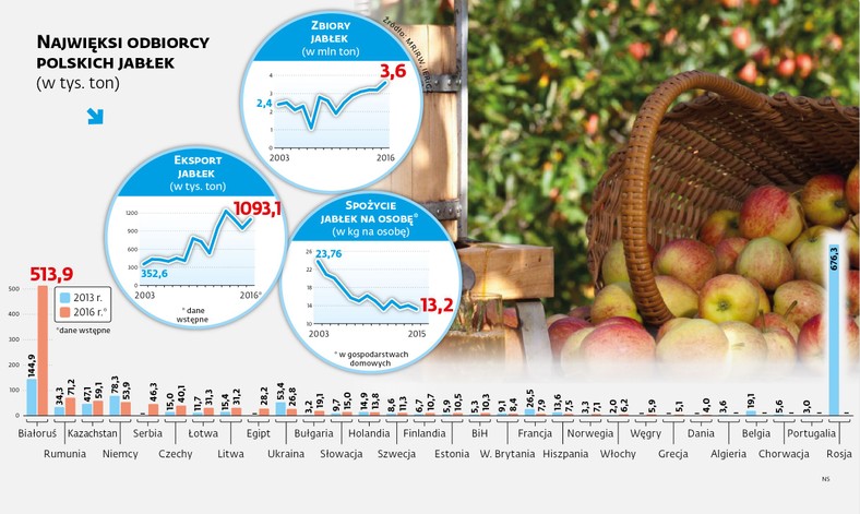Najwięksi odbiorcy polskich jabłek