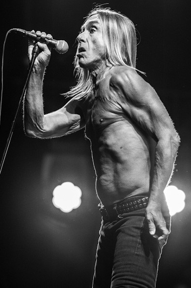 OFF Festival 2012 - Iggy Pop (fot. Monika Stolarska / Onet)