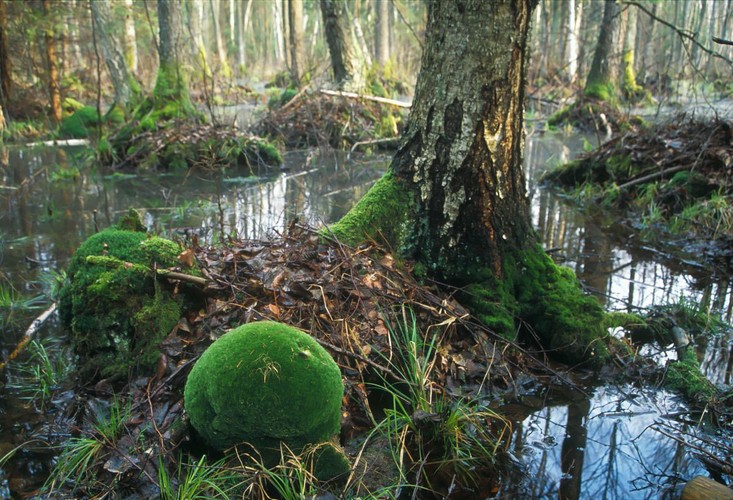 Najpiękniejsze krajobrazy Polski
