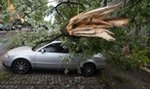 Groźne nawałnice nad Polską? Są wydane ostrzeżenia