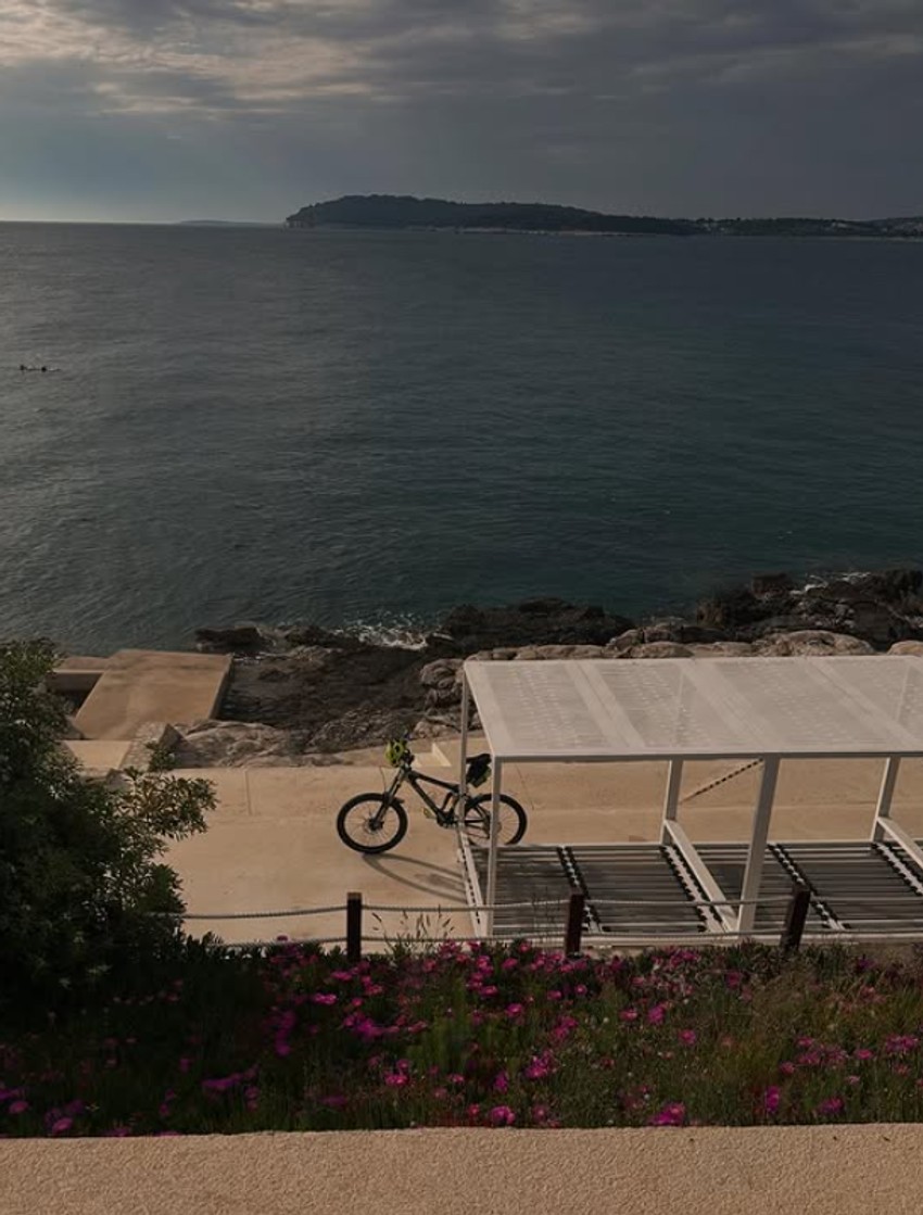 Miloš Biković, objava