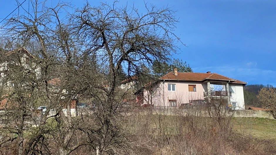 Pomen Mihaila Janjuševića