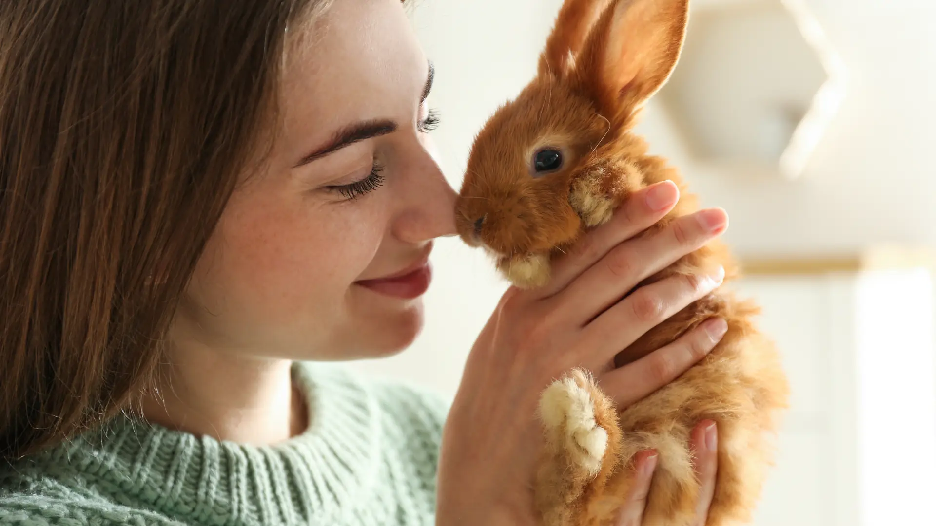 Jak wygląda opieka nad królikiem miniaturką?