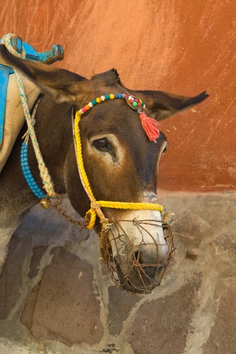 Kreta. Co warto zobaczyć?