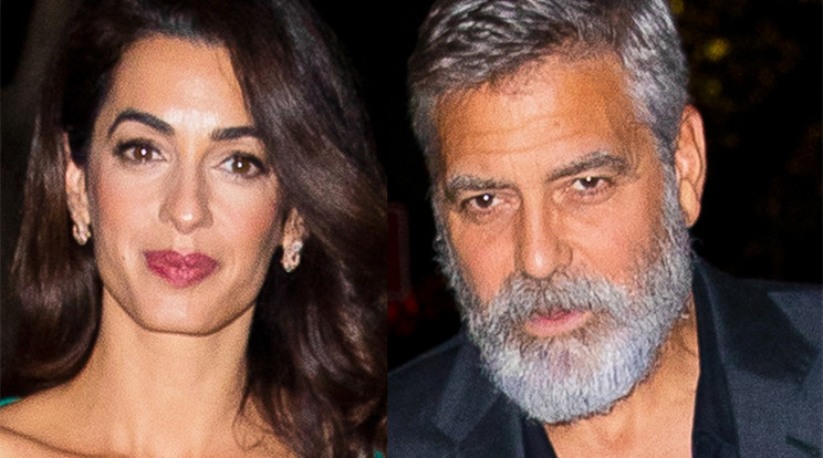 Amal és George Clooney Fotó: Northfoto