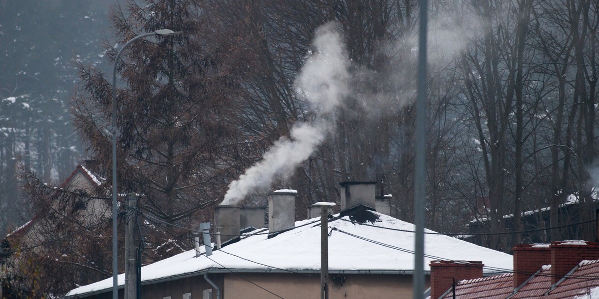 Dyrektywa nakazuje przejście na paliwa odnawialne.