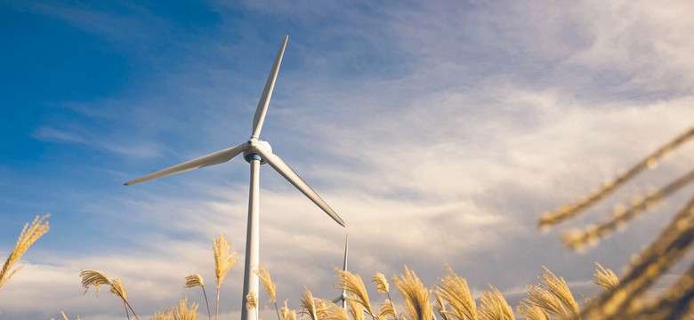 Europoseł Rzońca: Nowa polityka klimatyczna UE to wzrost cen energii