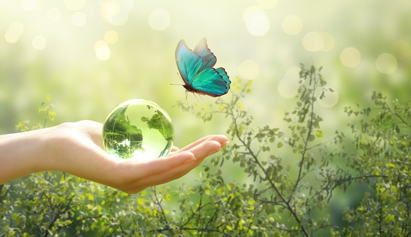 Quiz biologia przyroda z biologii przyrody Earth,Day,Or,World,Environment,Day,,Environmentally,Friendly,Theme.,Morpho
