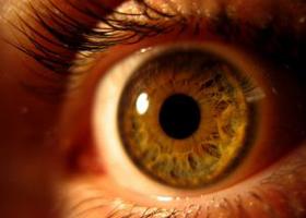 a látás romlik 46 éves körömvirág alkalmazás a látáshoz