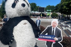 Nowa akcja KO w Międzyzdrojach. "Mordercza dla tłustych kotów PiS"