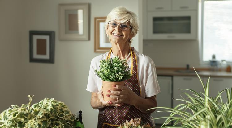 Nagymamám imádja a növényeket Fotó: Getty Images