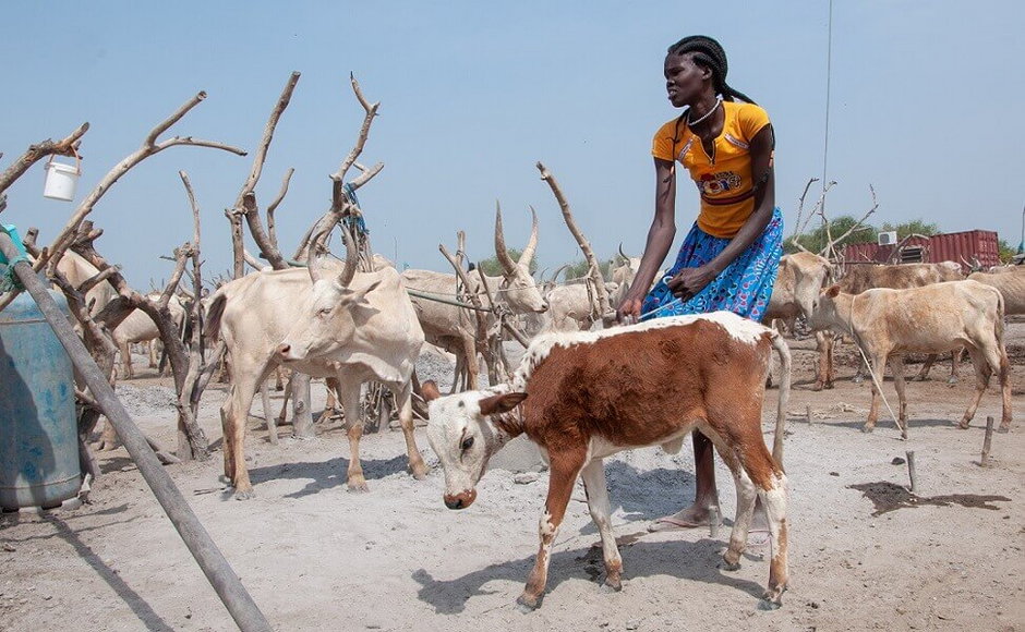 Sudan Południowy: krajobraz kontrastów i desperacka walka o wodę